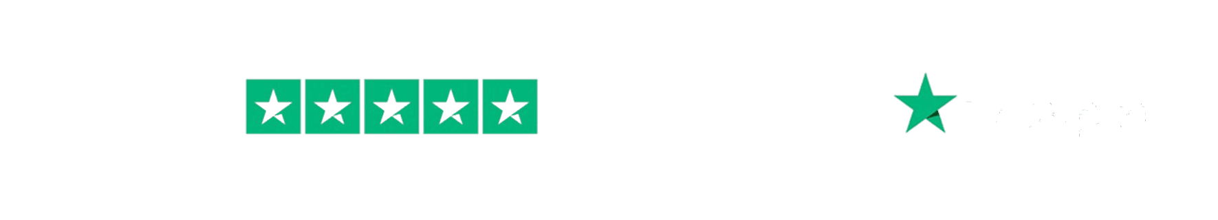 Rated Excellent, 5 stars on Trustpilot